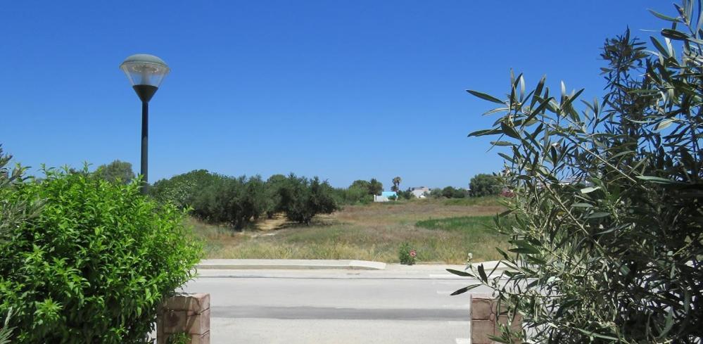 Elia Mare Apartment Mastihari Exterior foto